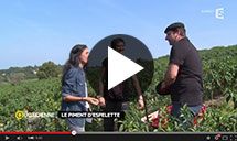 Bipertegia dans la presse