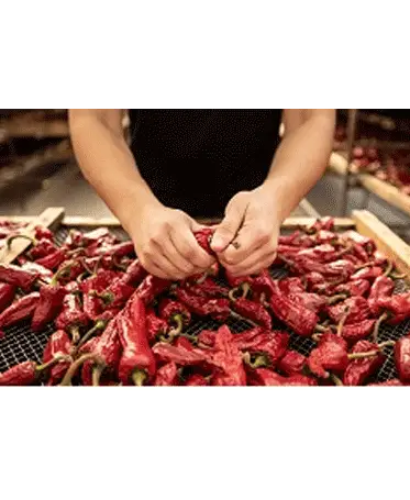 Poudre de piment d'Espelette AOP partie 1