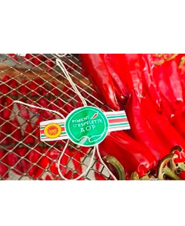 Récolte de piment d'Espelette 2019