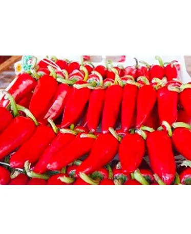 Fête du piment d'Espelette 2019