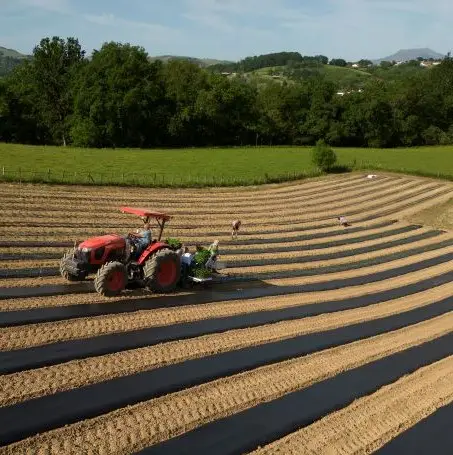 Jour de plantation chez Bipertegia #Etape 5
