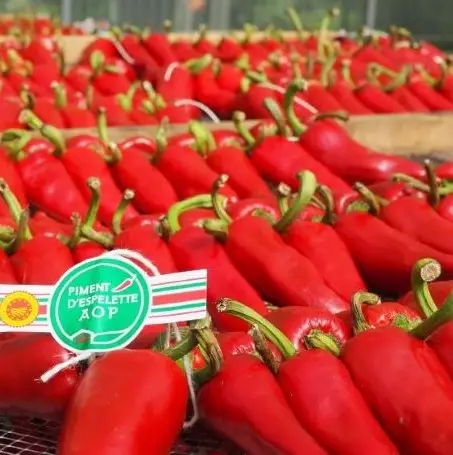 Les cordes de piment d'Espelette AOP #Etape 8